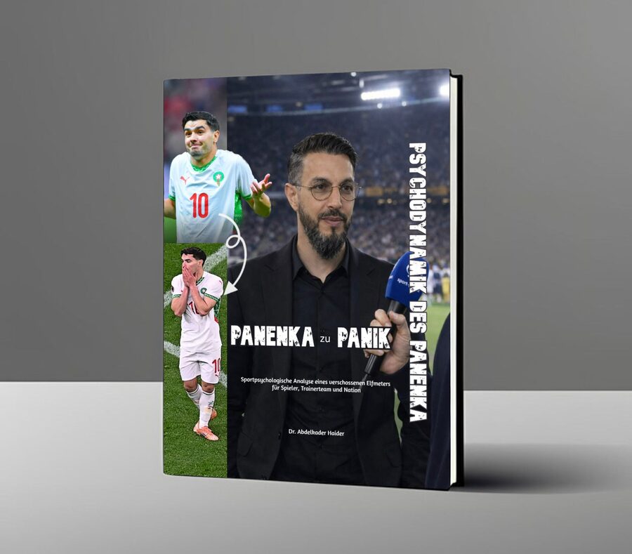 Buchcover: Panenka zu Panik